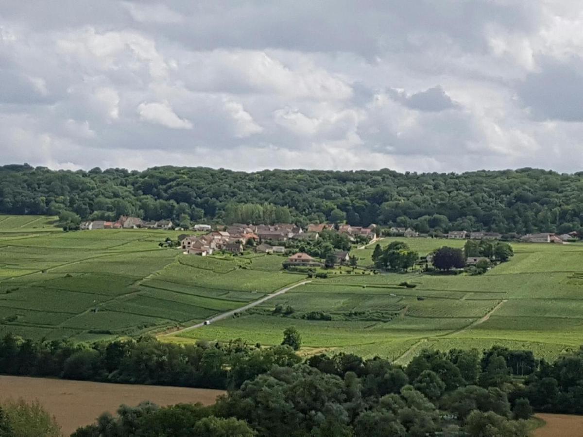 Le Domaine De L Etang Le Merger Oeuilly ภายนอก รูปภาพ